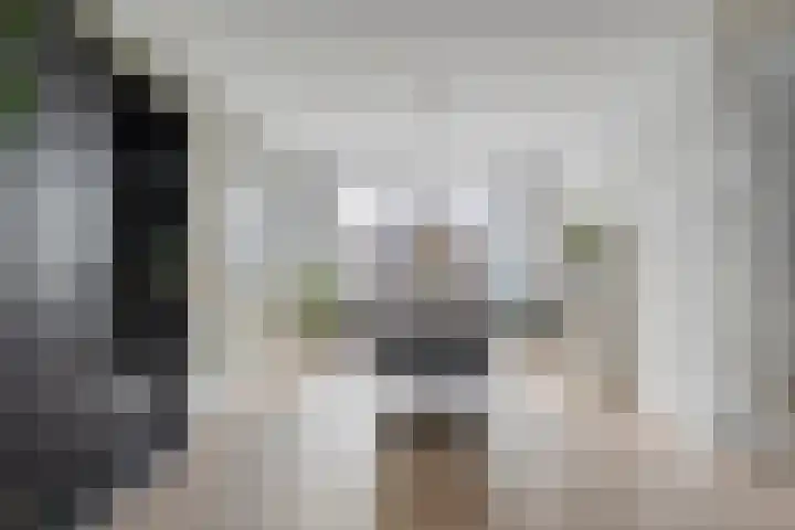 Bachplein 29 Dedemsvaart thumbnail 13