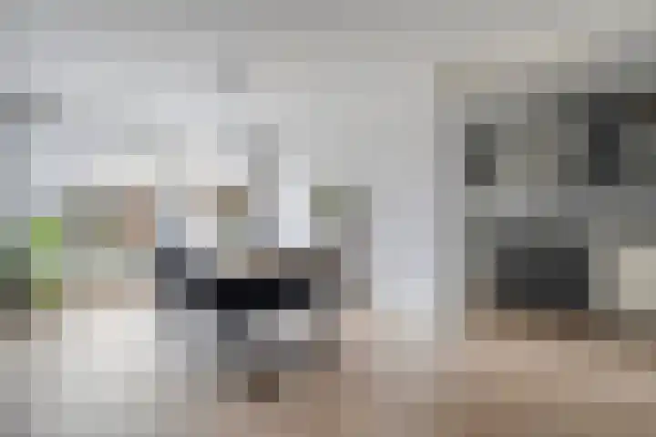 Bachplein 29 Dedemsvaart thumbnail 14
