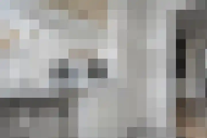 Bachplein 29 Dedemsvaart thumbnail 18