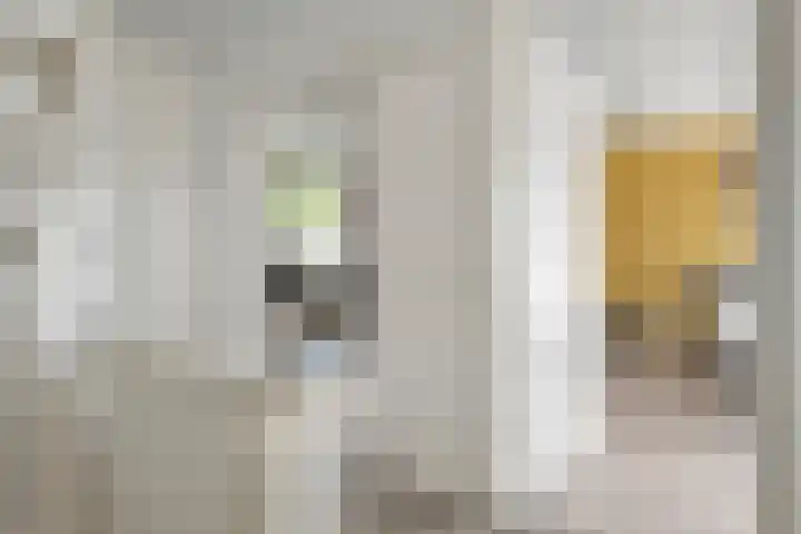 Bachplein 29 Dedemsvaart thumbnail 20