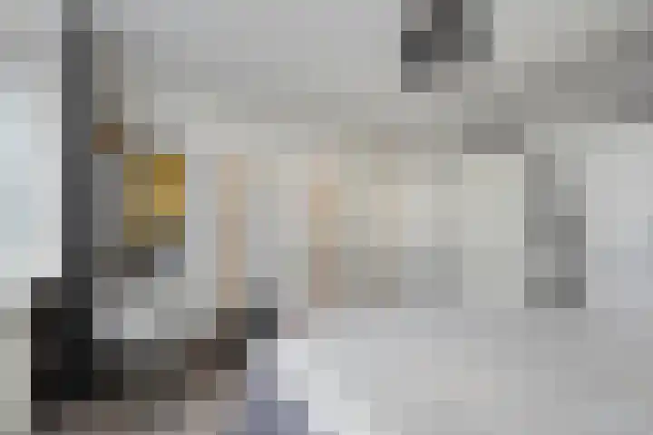 Bachplein 29 Dedemsvaart thumbnail 21