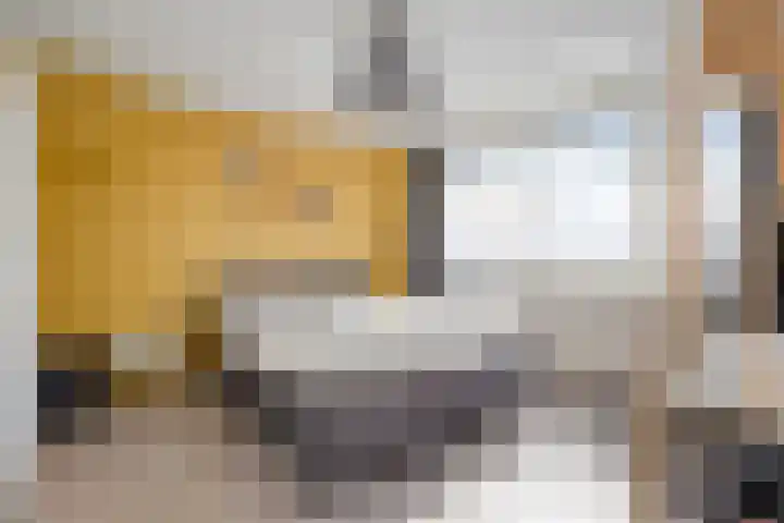 Bachplein 29 Dedemsvaart thumbnail 22