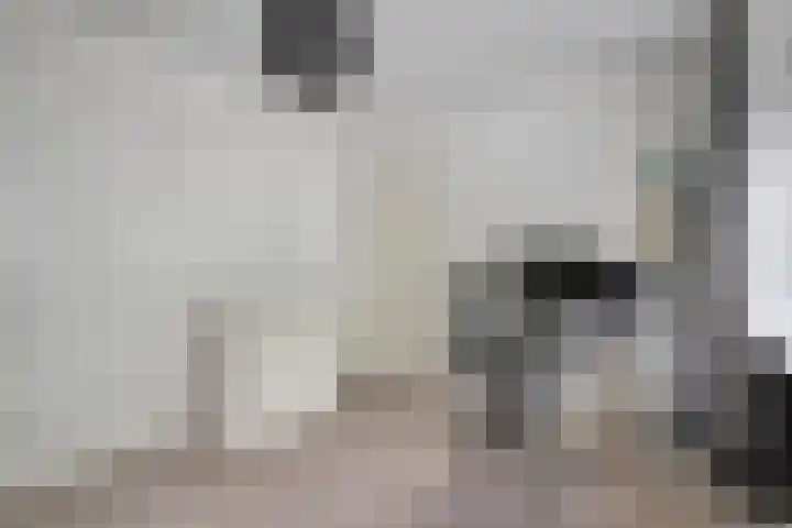 Bachplein 29 Dedemsvaart thumbnail 23