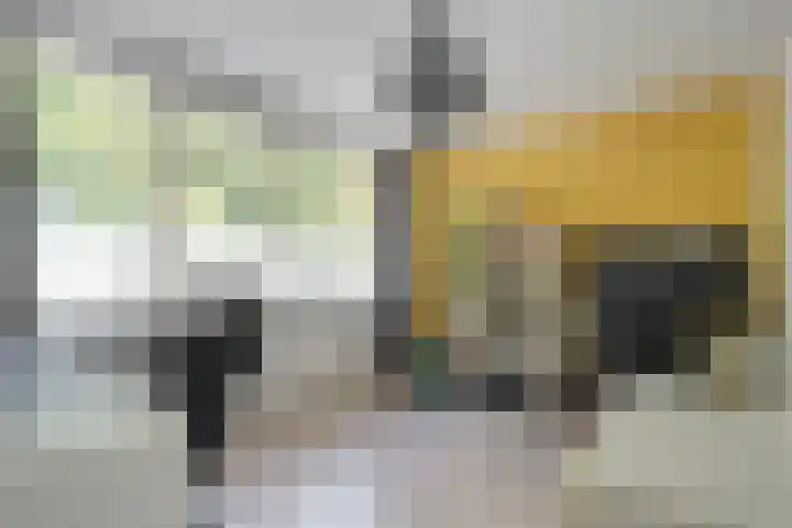 Bachplein 29 Dedemsvaart thumbnail 24