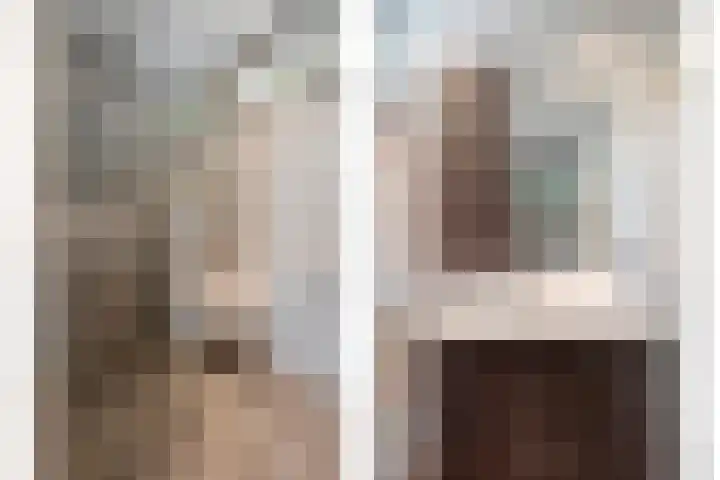 Bachplein 29 Dedemsvaart thumbnail 26