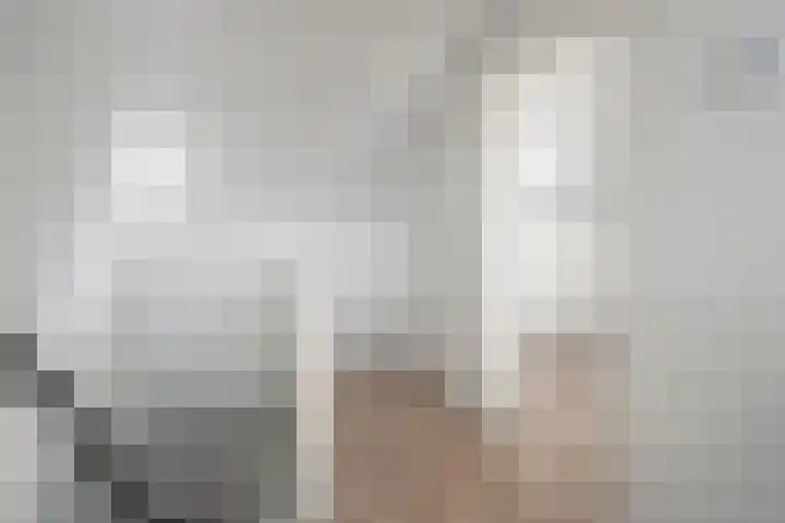 Bachplein 29 Dedemsvaart thumbnail 30