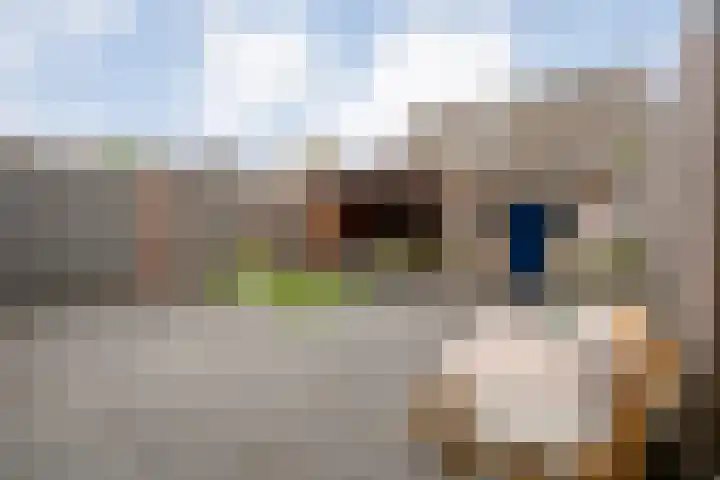 Bachplein 29 Dedemsvaart thumbnail 34