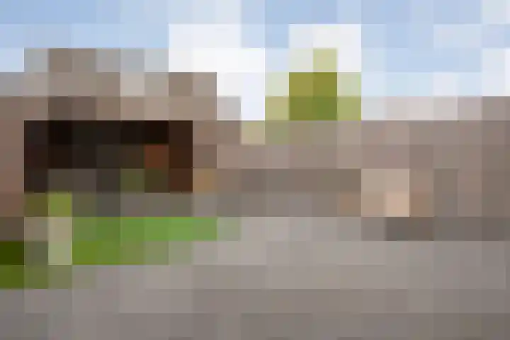 Bachplein 29 Dedemsvaart thumbnail 35