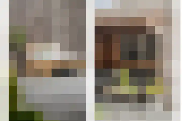 Bachplein 29 Dedemsvaart thumbnail 38