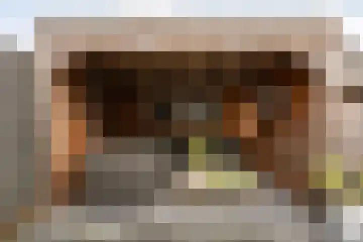 Bachplein 29 Dedemsvaart thumbnail 39