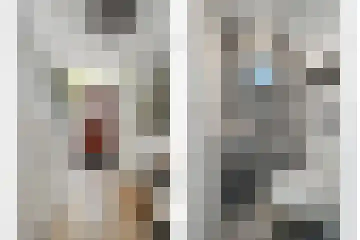 Bachplein 29 Dedemsvaart thumbnail 4