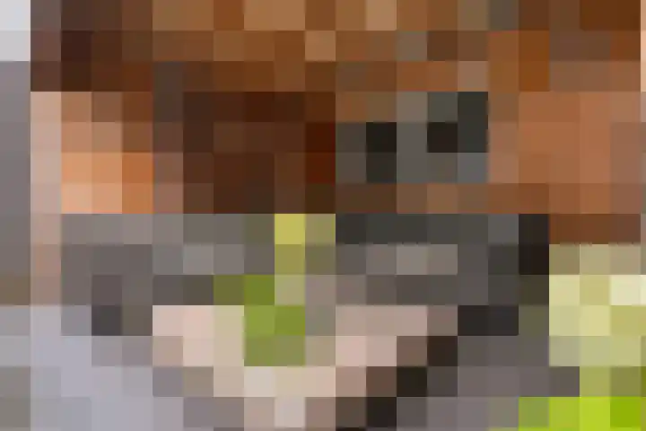 Bachplein 29 Dedemsvaart thumbnail 40