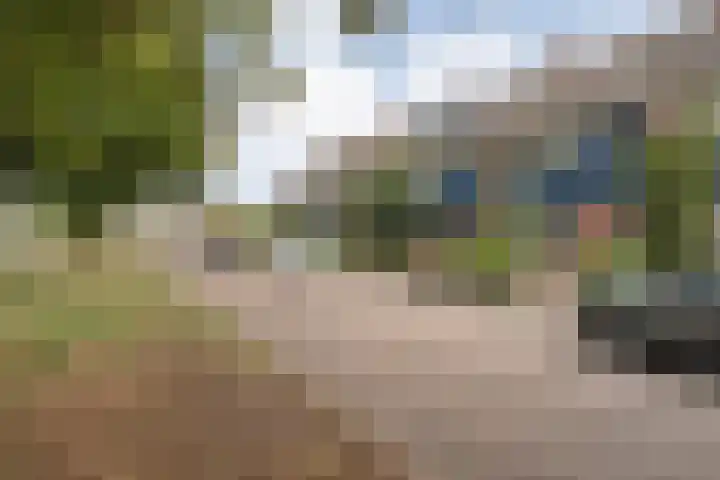Bachplein 29 Dedemsvaart thumbnail 41
