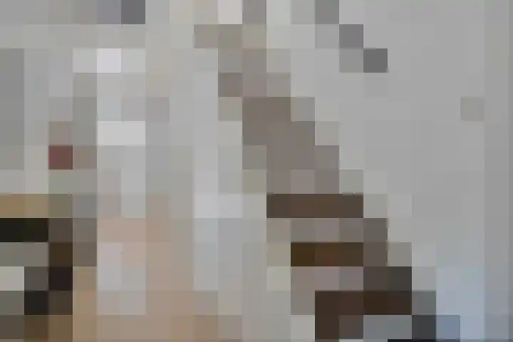 Bachplein 29 Dedemsvaart thumbnail 5