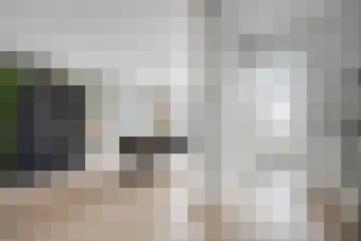 Bachplein 29 Dedemsvaart thumbnail 6
