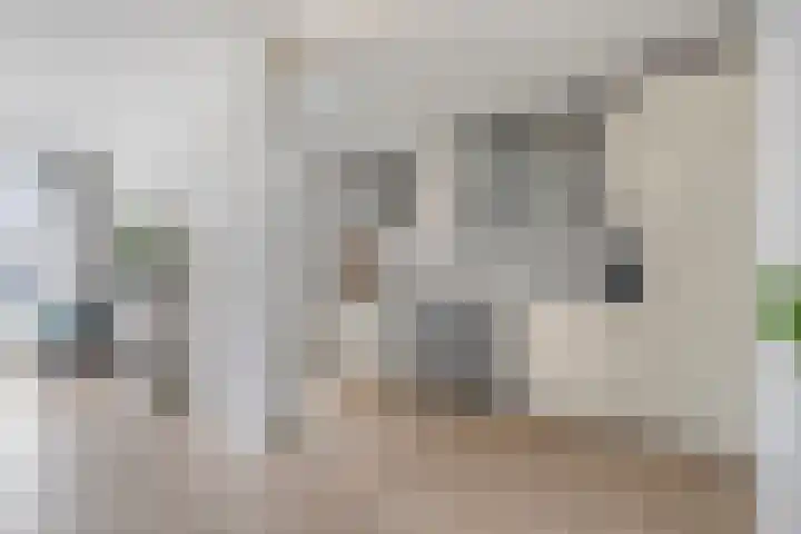 Bachplein 29 Dedemsvaart thumbnail 7