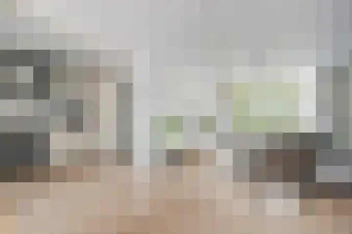 Bachplein 29 Dedemsvaart thumbnail 8