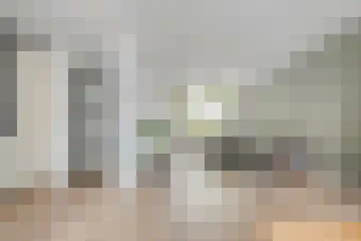 Bachplein 29 Dedemsvaart thumbnail 9