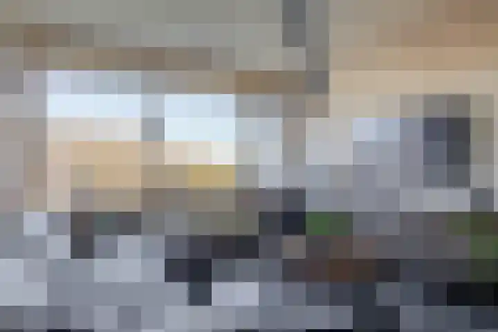 Bachplein 295 Schiedam thumbnail 10