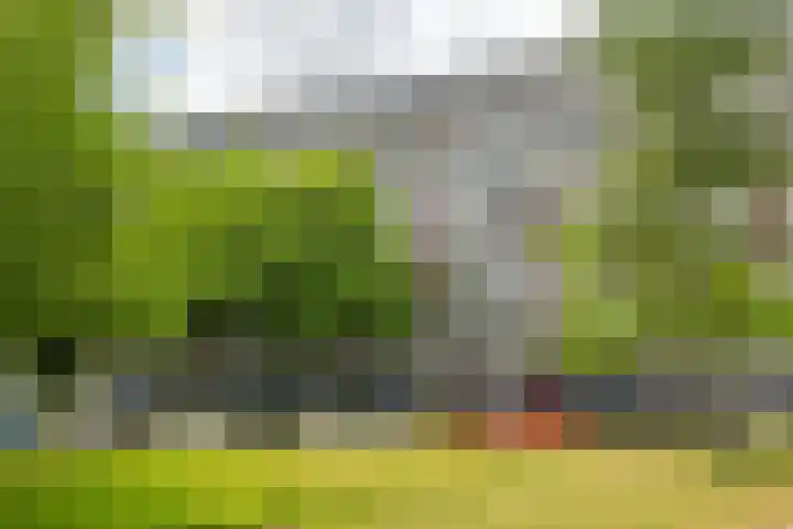 Bachplein 311 Schiedam thumbnail 22