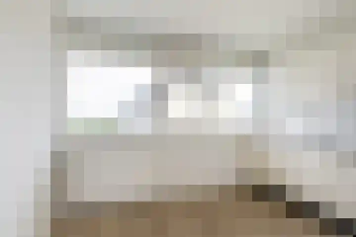 Bachplein 311 Schiedam thumbnail 6
