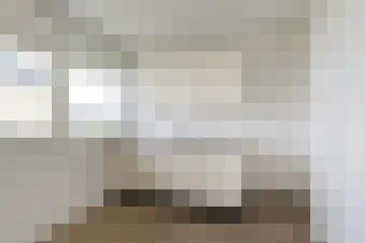 Bachplein 311 Schiedam thumbnail 7