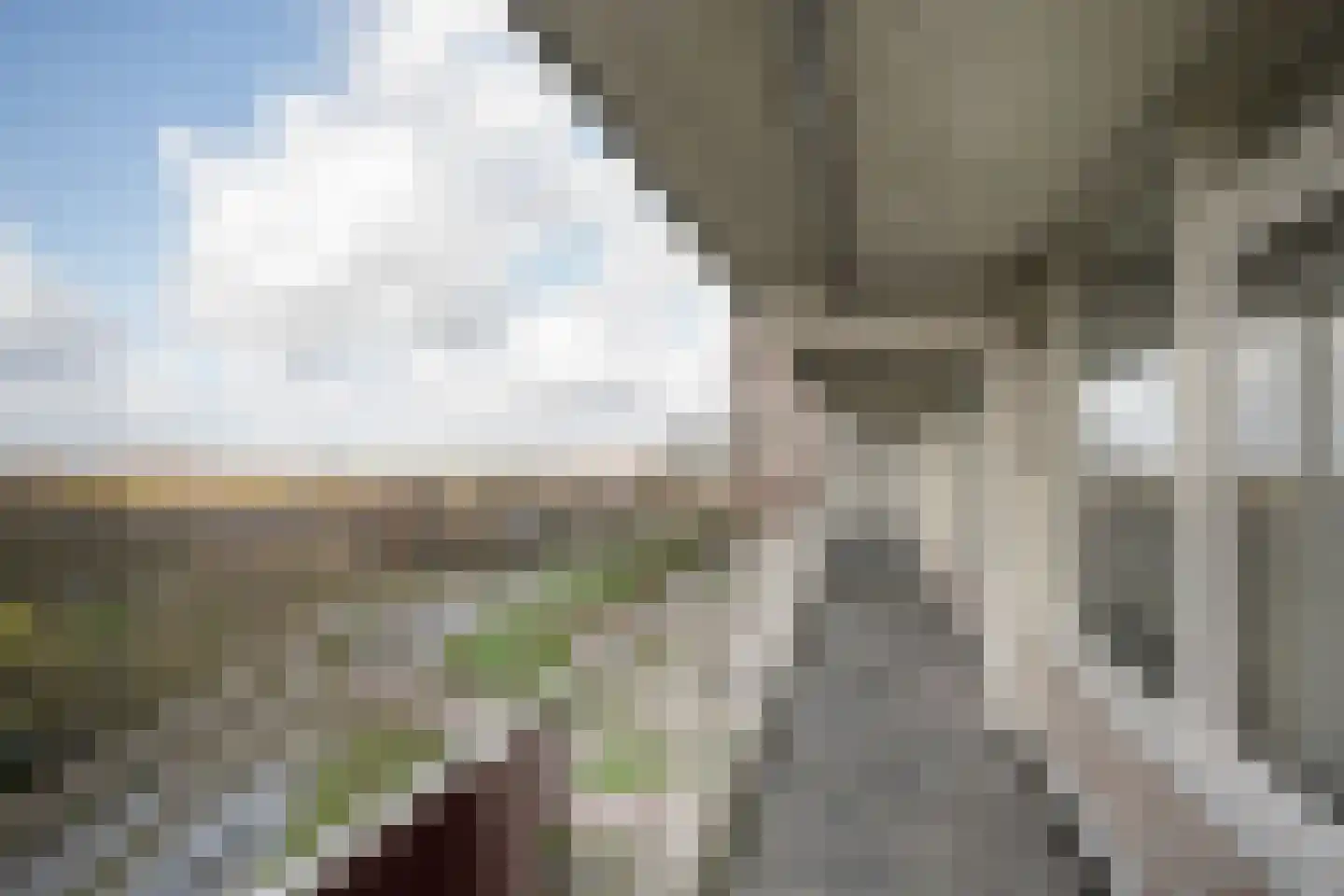 Bachplein 320 Schiedam thumbnail 5