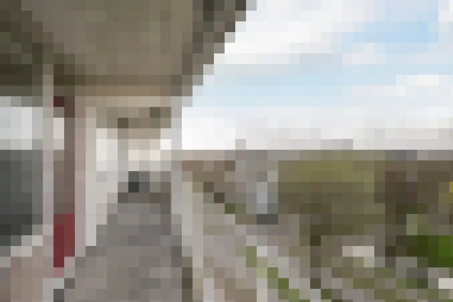 Bachplein 320 Schiedam thumbnail 7
