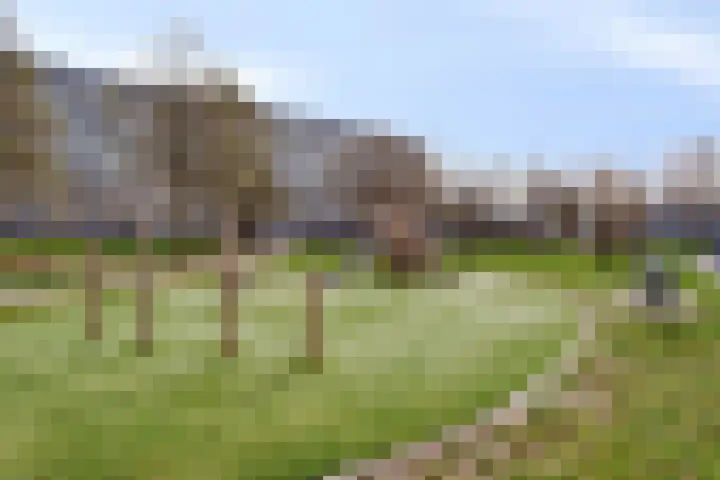 Bachplein 341 Schiedam thumbnail 35
