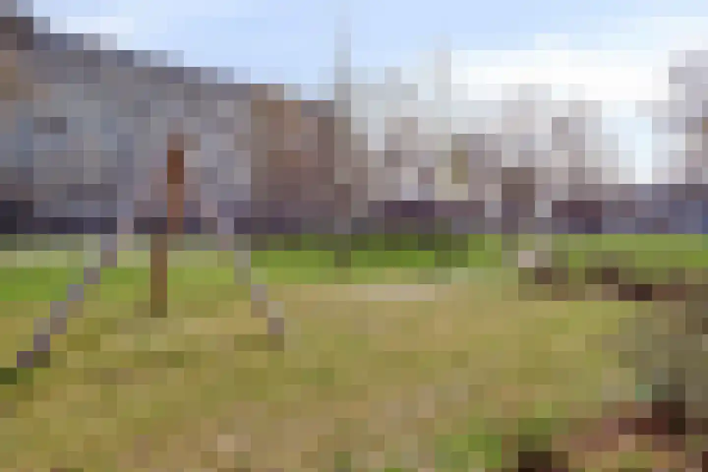 Bachplein 341 Schiedam thumbnail 38