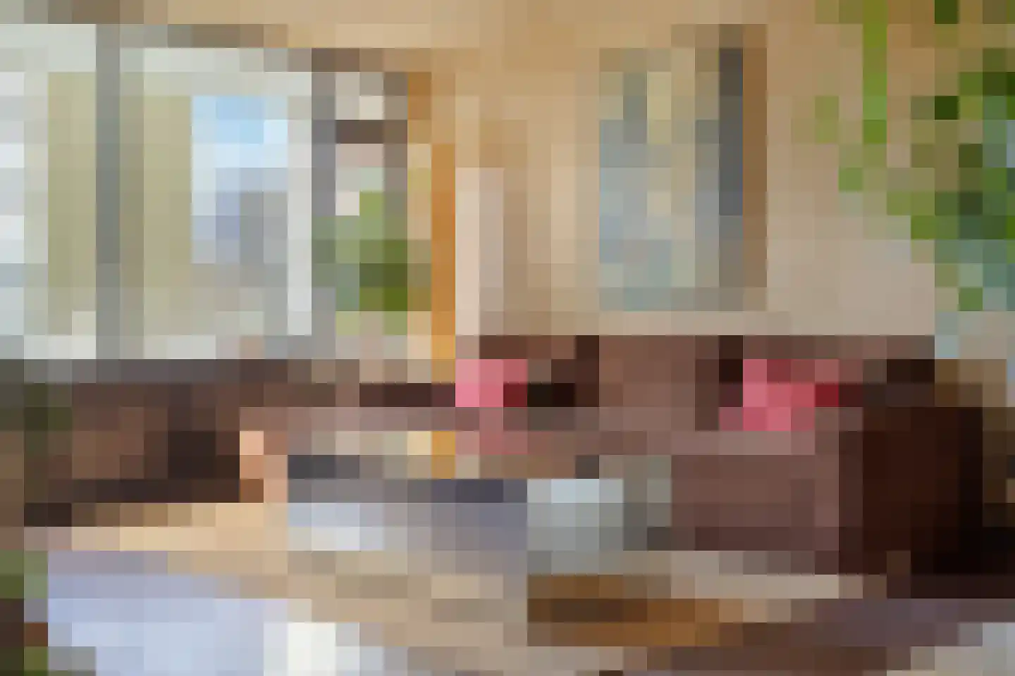 Bachplein 341 Schiedam thumbnail 4