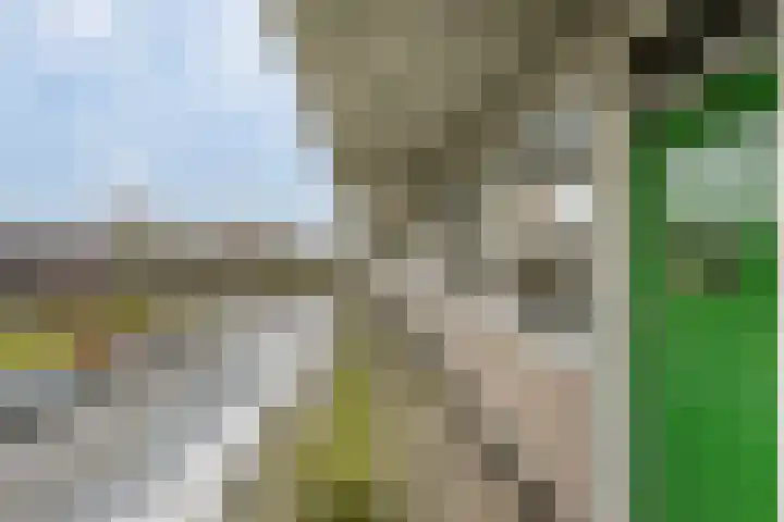 Bachplein 344 Schiedam thumbnail 26