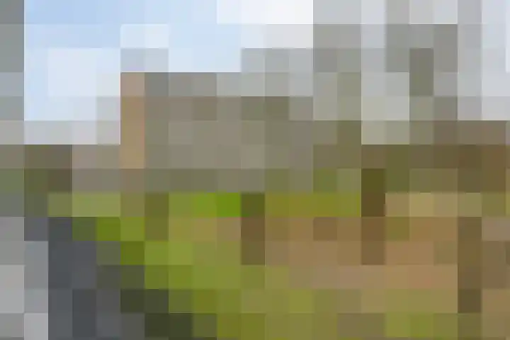Bachplein 344 Schiedam thumbnail 8