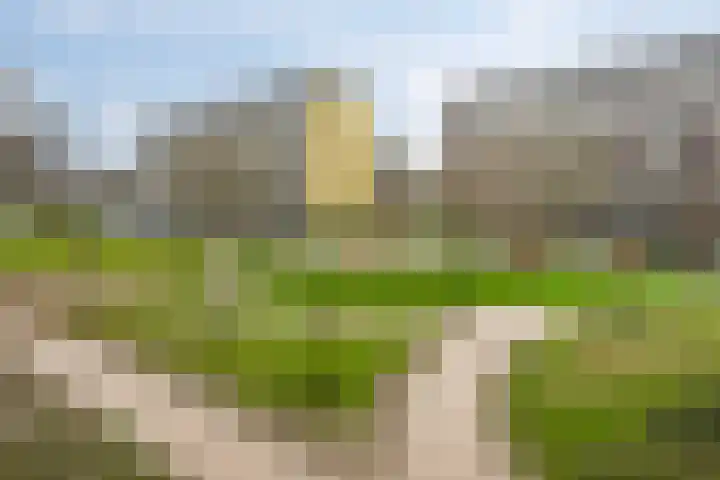 Bachplein 344 Schiedam thumbnail 9