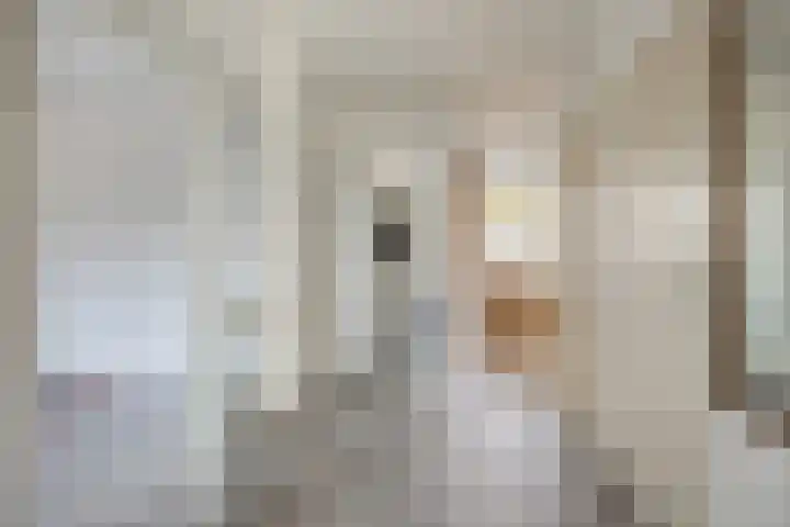 Bachplein 451 Schiedam thumbnail 7