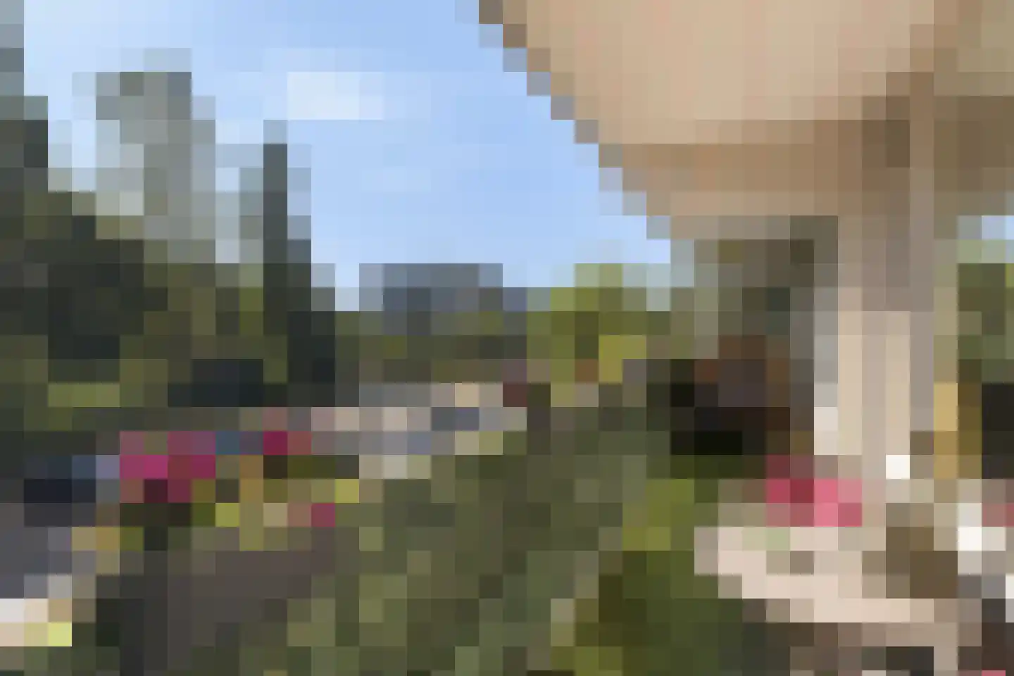 Bachplein 461 Schiedam thumbnail 20
