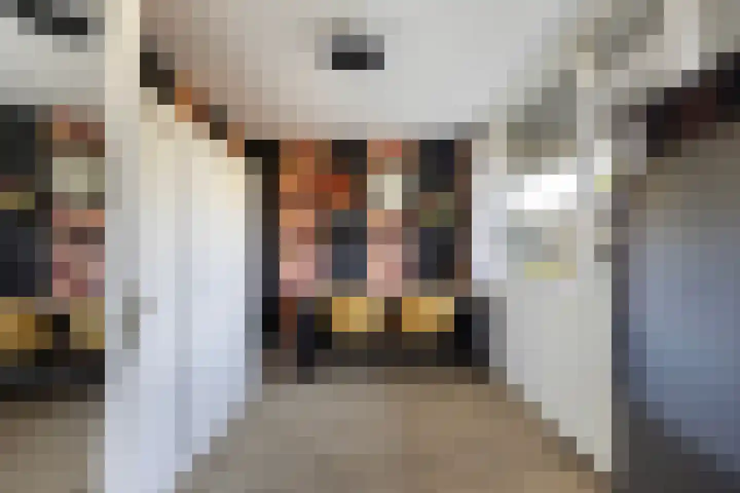 Bachplein 461 Schiedam thumbnail 27