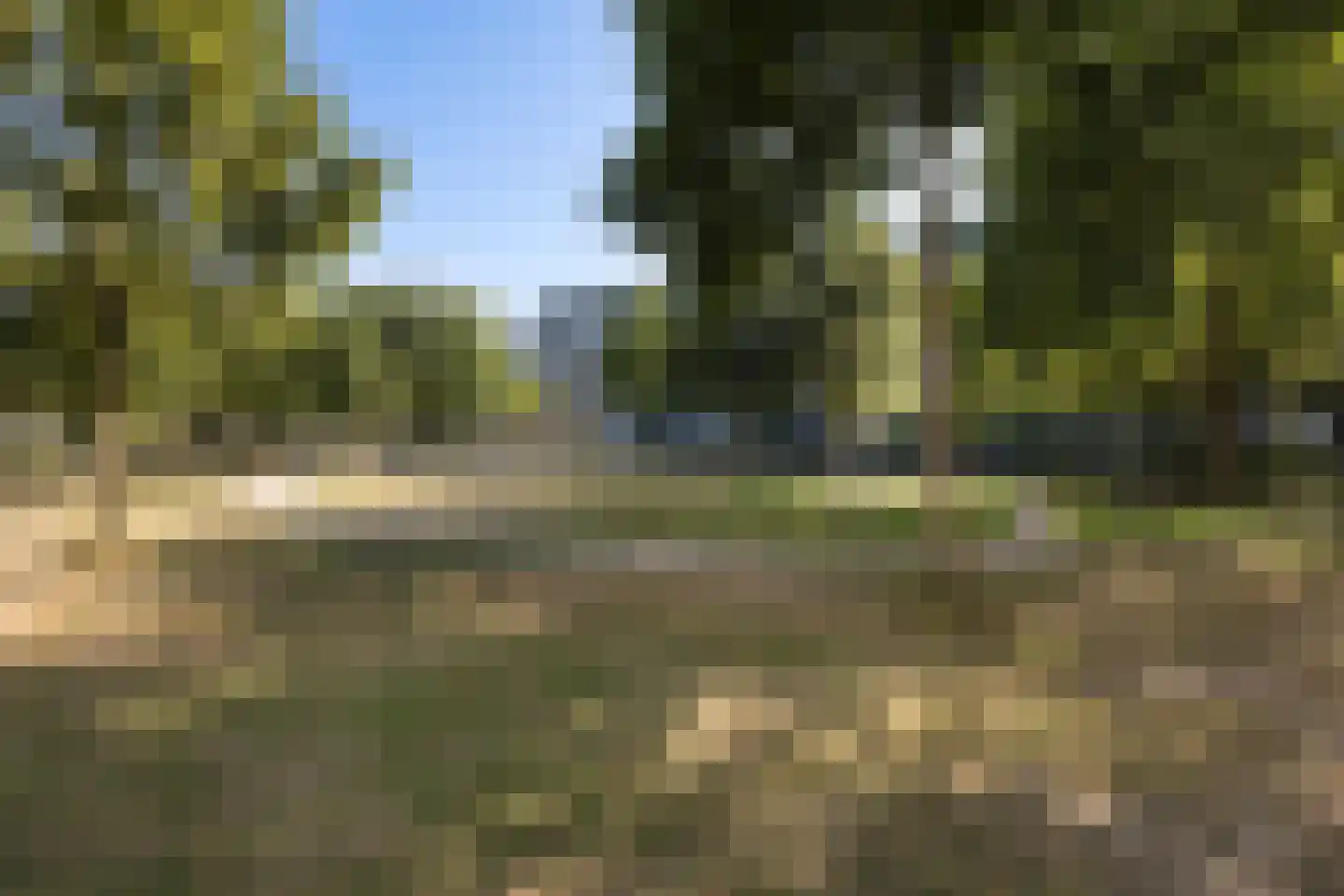 Bachplein 461 Schiedam thumbnail 40