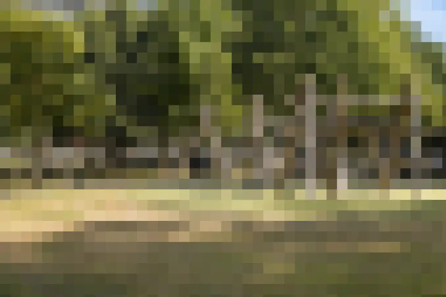 Bachplein 461 Schiedam thumbnail 41