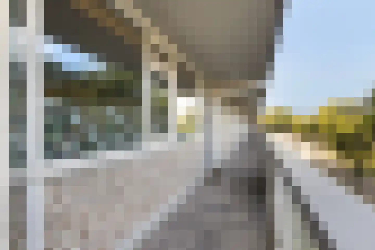 Bachplein 461 Schiedam thumbnail 9