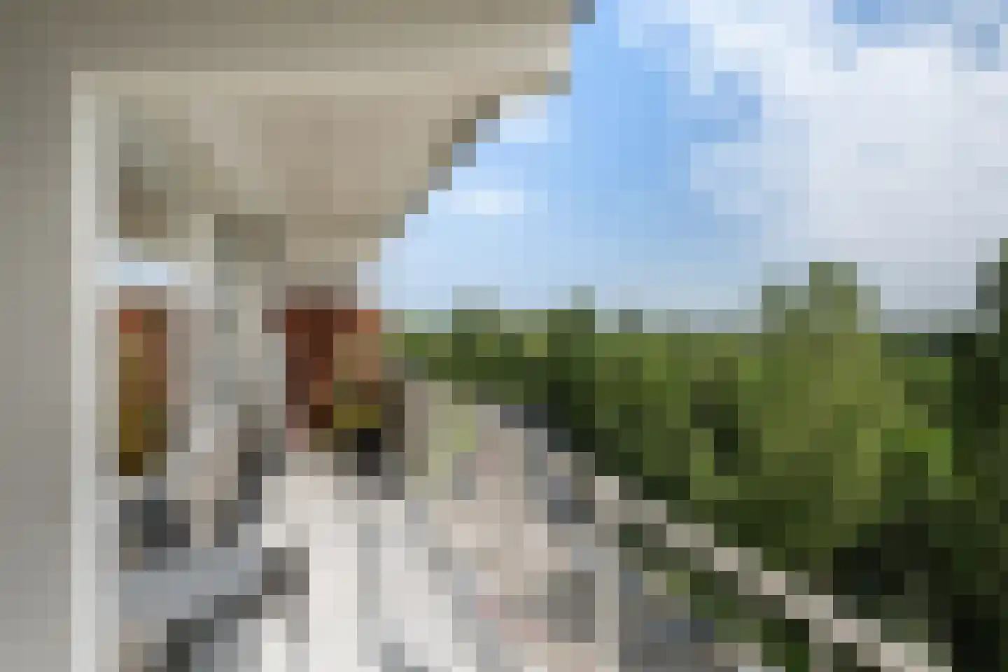 Bachplein 533 Schiedam thumbnail 12