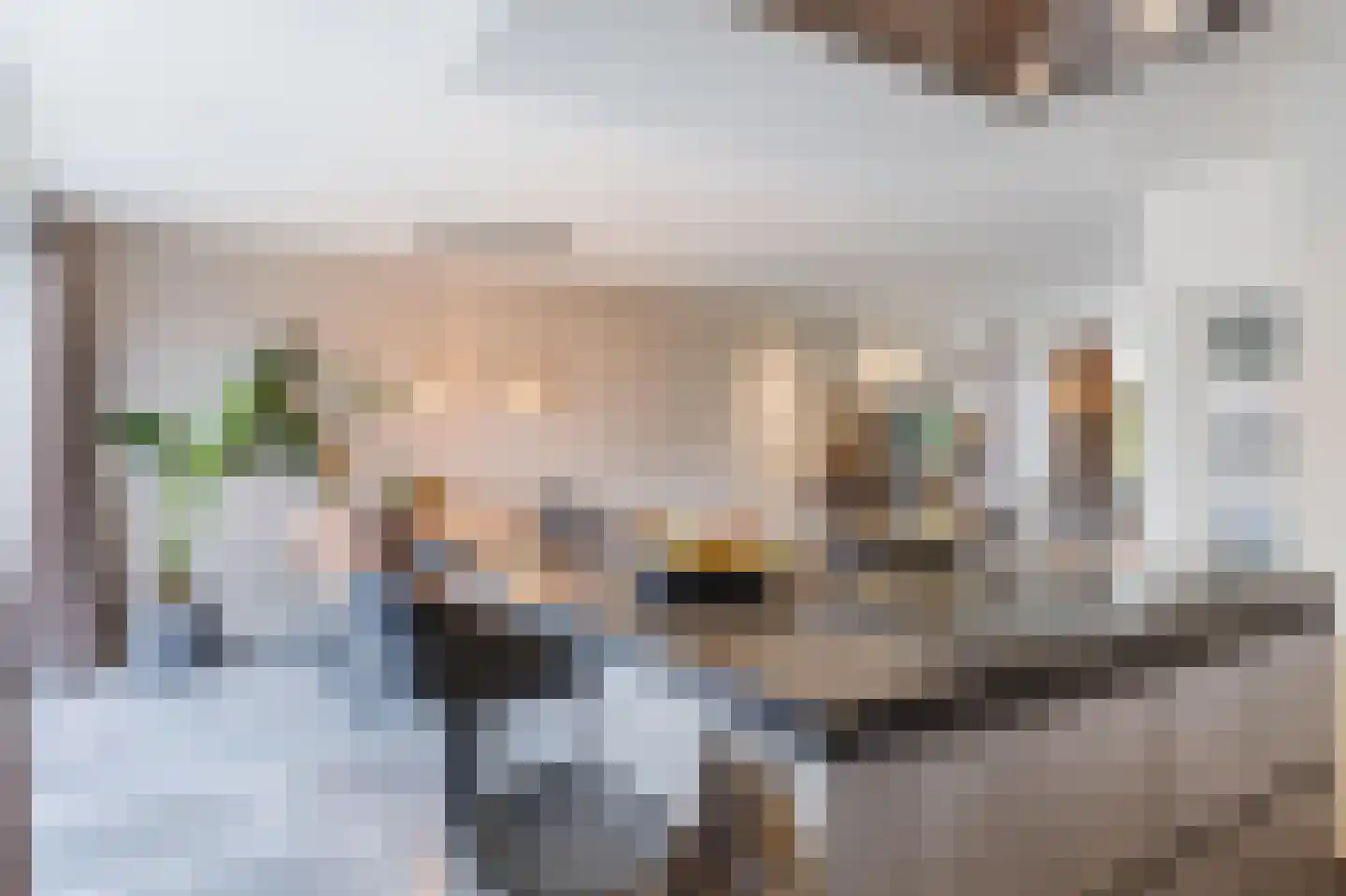 Bachplein 8 Raamsdonksveer thumbnail 11