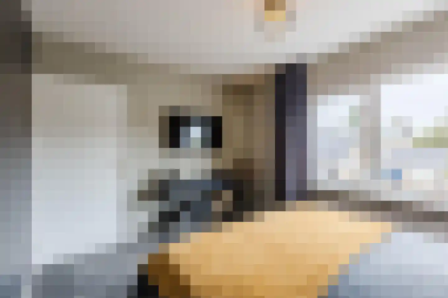 Bachplein 8 Raamsdonksveer thumbnail 17