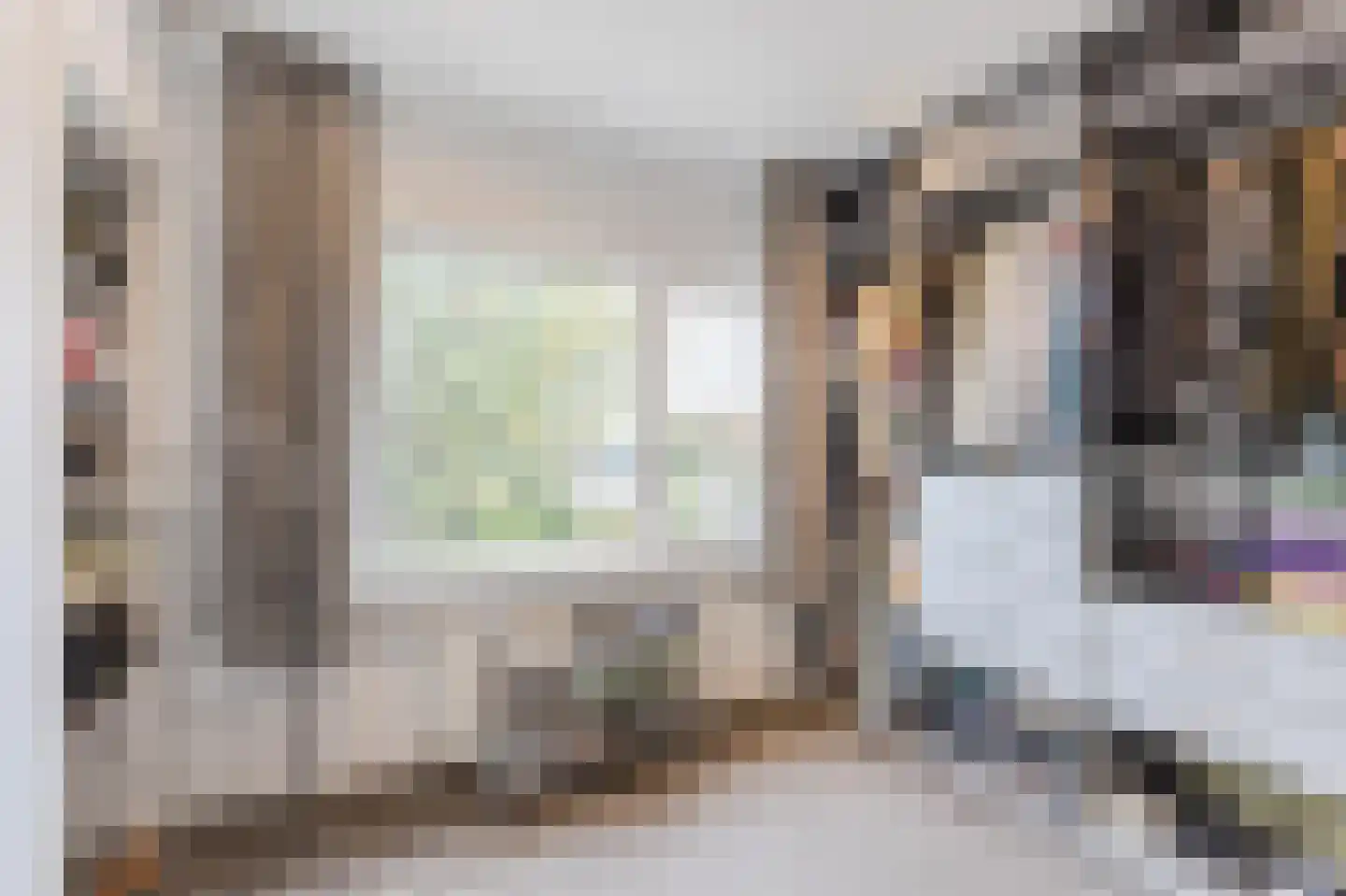 Bachplein 8 Raamsdonksveer thumbnail 21