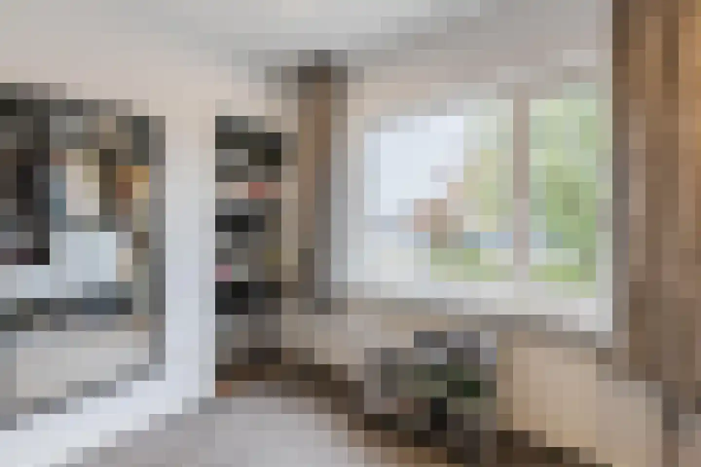 Bachplein 8 Raamsdonksveer thumbnail 22