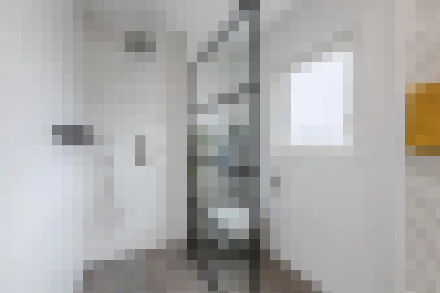 Bachplein 8 Raamsdonksveer thumbnail 23