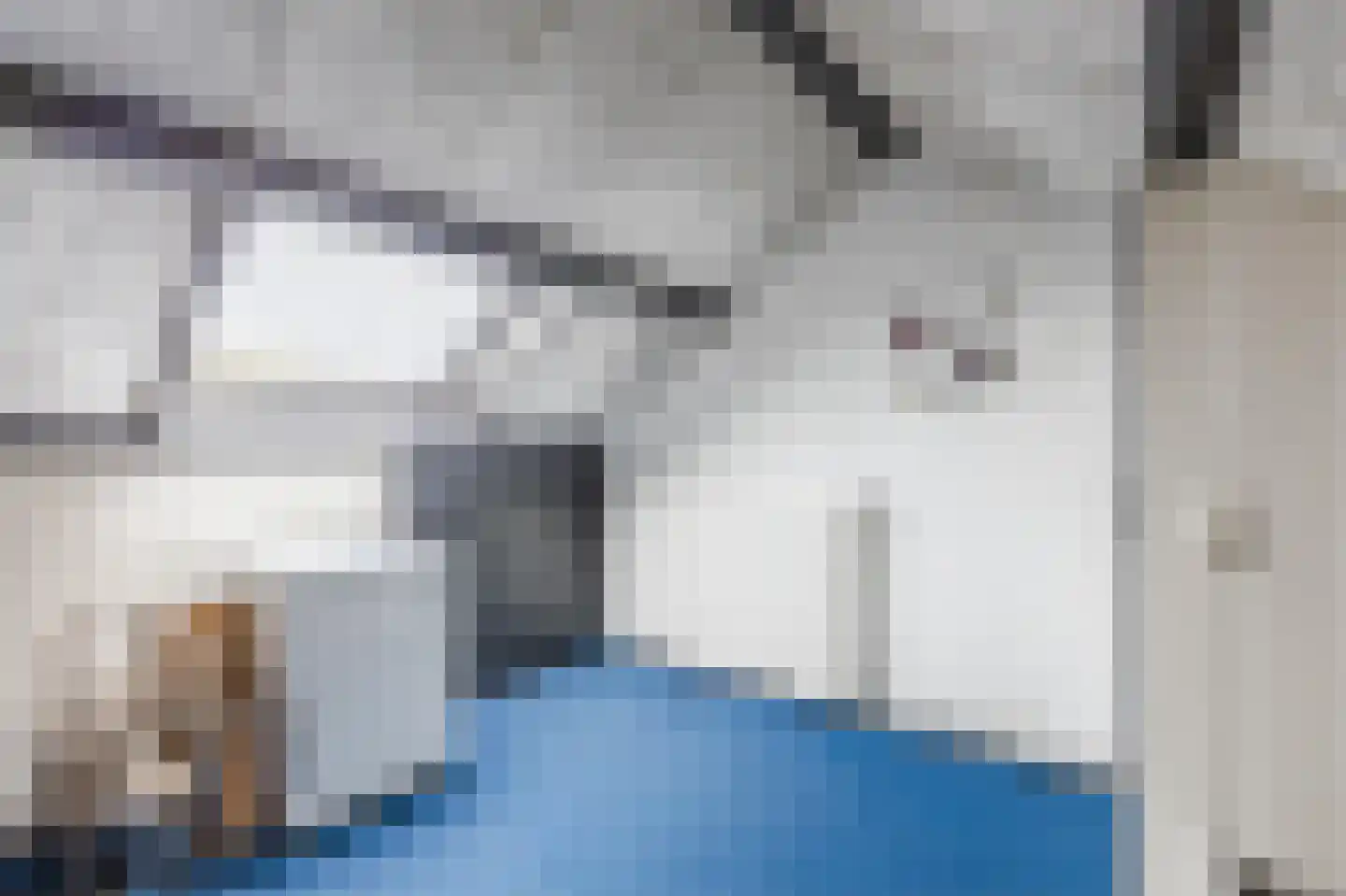 Bachplein 8 Raamsdonksveer thumbnail 26