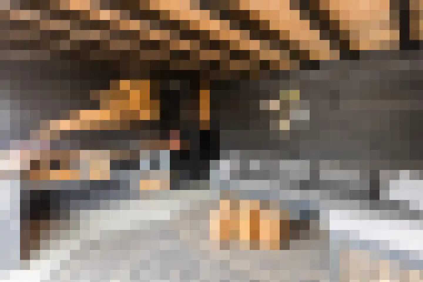 Bachplein 8 Raamsdonksveer thumbnail 34