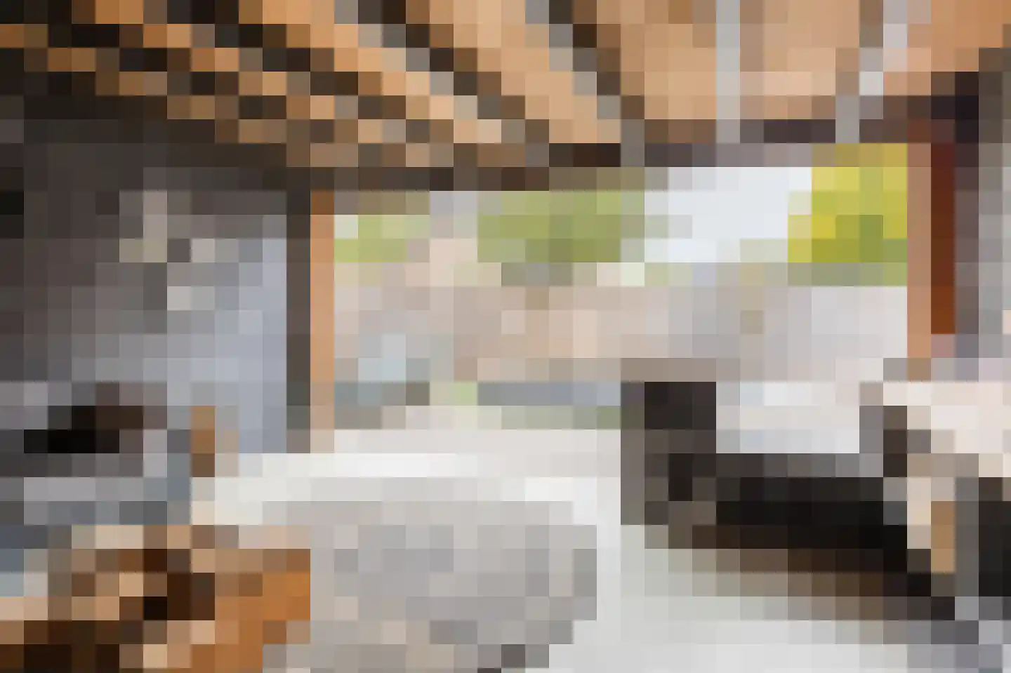 Bachplein 8 Raamsdonksveer thumbnail 36