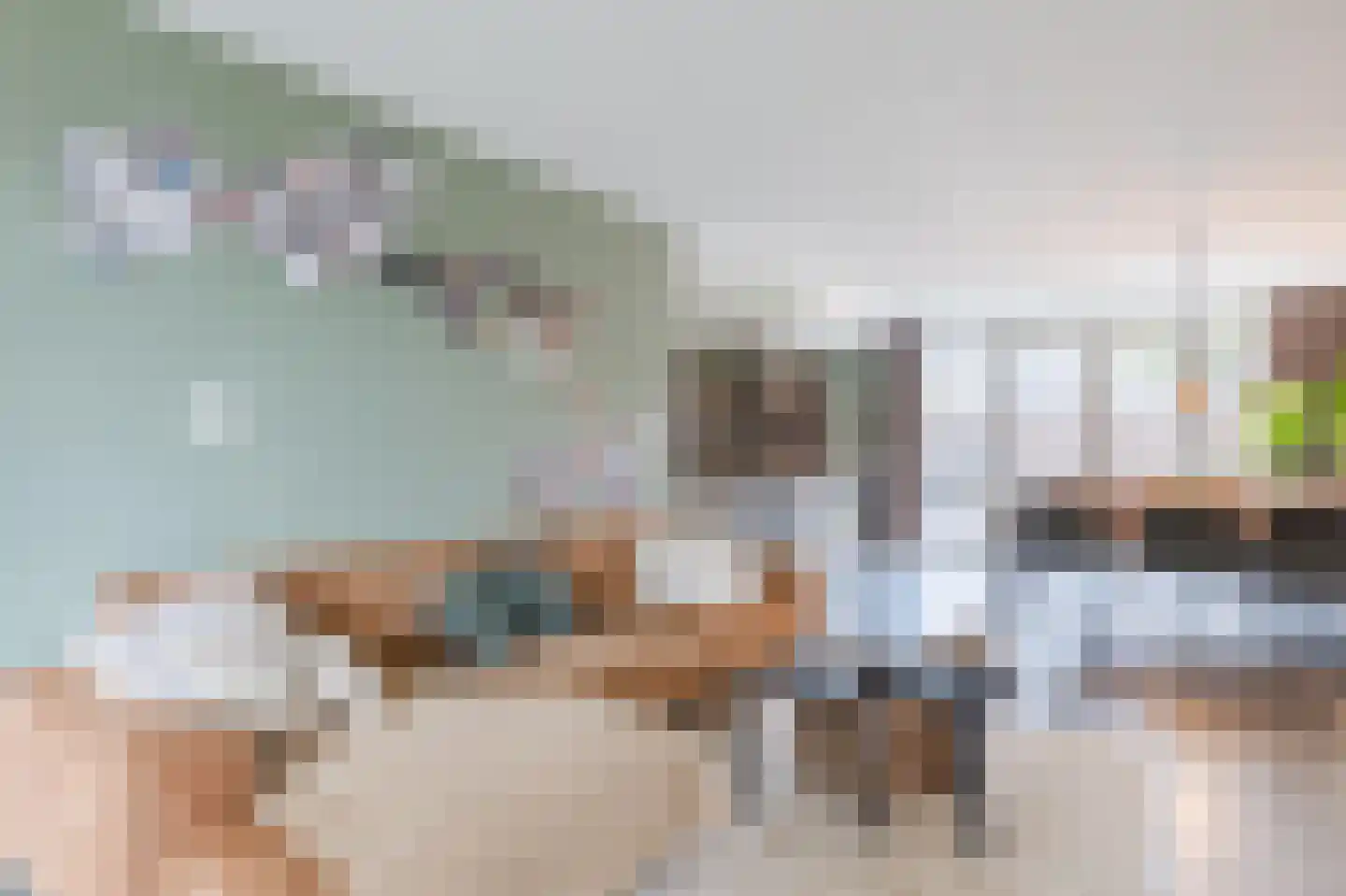 Bachplein 8 Raamsdonksveer thumbnail 4
